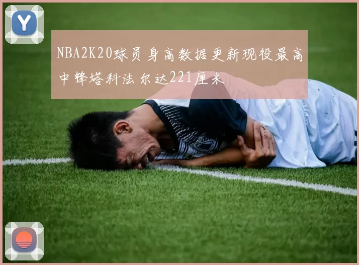 NBA2K20球员身高数据更新现役最高中锋塔科法尔达221厘米