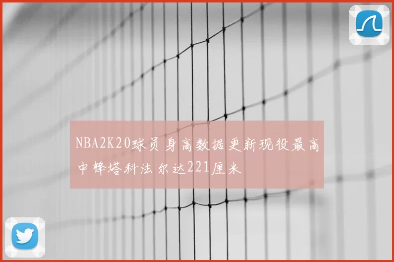 NBA2K20球员身高数据更新现役最高中锋塔科法尔达221厘米